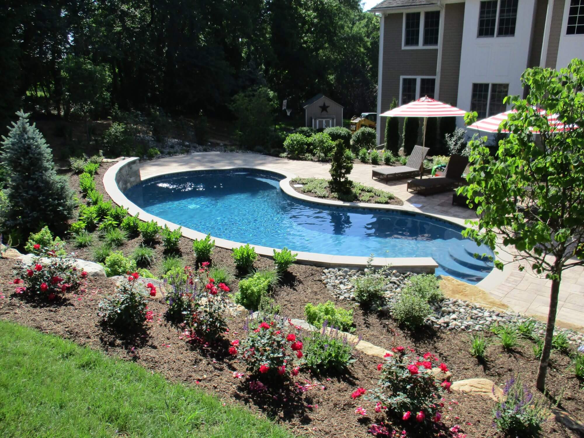 plantings